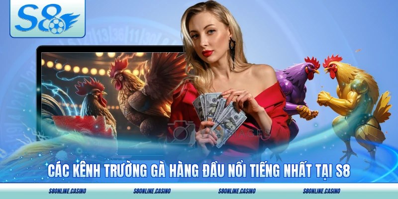 Các kênh trường gà hàng đầu nổi tiếng nhất tại S8
